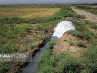 اینجا «سرطان» می‌کارند - تصاویر