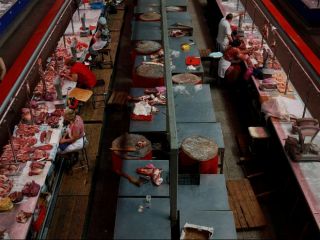 اعتراض یهودیان به طرح کاهش ذبح احشام در اتریش