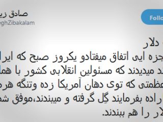 زیباکلام: مسئولان به جای هرمز، تنگه دلار را ببندند
