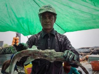 کشتی‌های 'صیادی چین' در خلیج فارس چه می‌کنند؟