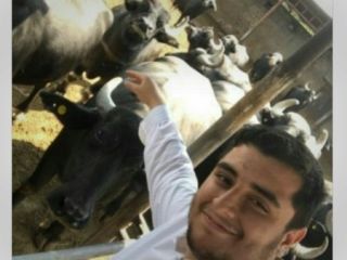 چوپان ساده یا دامداری برای ارتقاء تولید ملی؟ / راست یا دروغ نادر قاضی پور در ۴ پرده