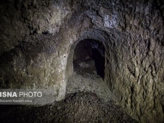 جویندگان «گنج» - تصاویر