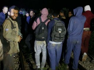 ده‌ها مهاجر پنهان شده در قطار باری در بوسنی توسط پلیس متوقف شدند