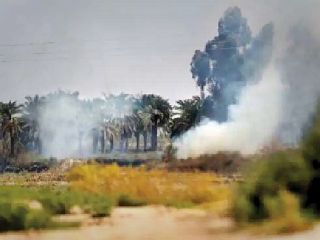 رئیس سازمان حفاظت محیط زیست: هورالعظیم را آتش می‌زنند تا پول برق ندهند!