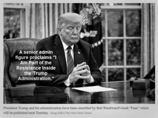 مقام دولت ترامپ: من بخشی از نیروی مقاومت هستم
