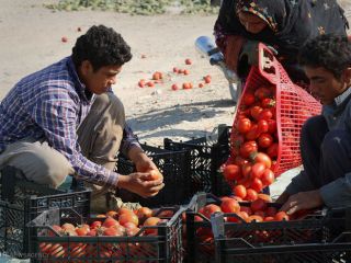 روزنامه آفتاب : بگذارید نان و پنیر و گوجه‌فرنگی برای مردم بماند