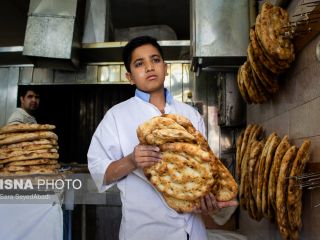 موضوع انشاء : «تابستان» خود را چگونه گذراندید؟ - تصاویر