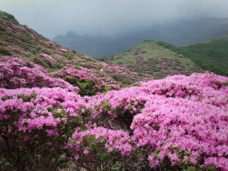 فال روز شنبه ۳ نوامبر - ۱۲ آبان.