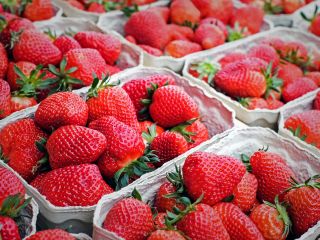 پلیس استرالیا از دستگیری یک زن در ارتباط با توت فرنگی‌های حاوی سوزن خبر داد