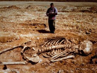 ۹ عکس وحشت آور جهان که مدتها باعث بحث و جدل و راستی آزمایی در رسانه ها شدند