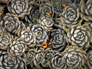 فال روز پنجشنبه ۱۳ دسامبر - ۲۲ آذر.