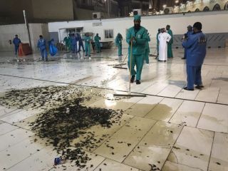 حمله سوسک های بالدار به مکه / صحن مسجدالحرام پر از سوسک شد + ویدیو