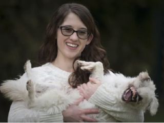 سگی که در ایران به صورتش اسید پاشیده شده بود ،در کانادا زیر تیغ جراحی رفت