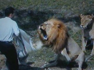 امام جمعه شهرری: شاه مخالفینش را در قفس شیرهای گرسنه می انداخت!