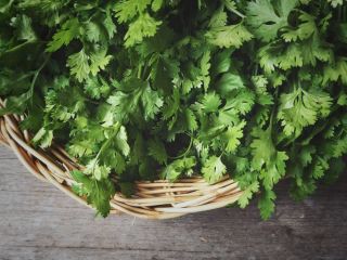 چرا باید در زمستان هر روز گشنیز بخورید؟