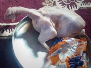 جنجال تصویر یک مرغ منجمد در فضای مجازی