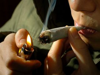 اسپانیا: حشیش خیابانی پر از مدفوع و باکتری است