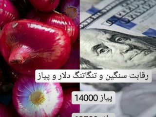 رقابت تنگاتنگ «پیاز» و «دلار» در بازار ایران - عکس