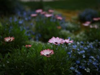 فال روز پنجشنبه ۲ می - ۱۲ اردبهشت.