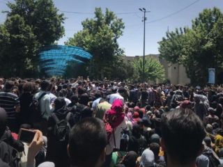 «لباس شخصی ها » به تجمع دانشجویان دانشگاه تهران حمله کردند + ویدیو