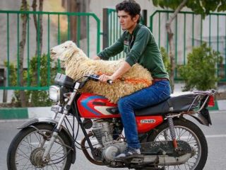 بارهای عجیب و غریب ترک موتورسیکلت ها تهران - تصویری