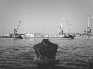 سردیس سیرویس قایقران شکسته شد