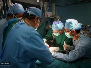 بیضه فروشی با ۷۰ هزار دلار در ایران!