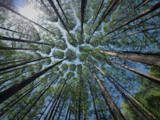 فال روز سه شنبه ۱۰ سپتامبر - ۱۹ شهریور.