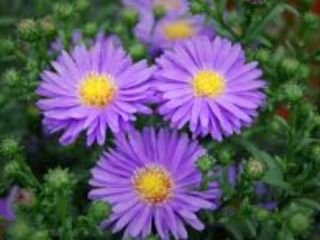 فال روز جمعه ۱۱ اکتبر - ۱۹ مهر.