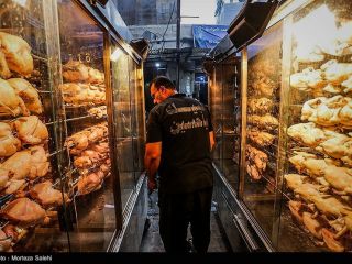 از جیب مردم ایران; توزیع روزانه ۱۰۰هزار پرس غذا بین زائران اربعین - تصاویر