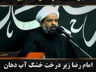 آخوند: امام رضا تف کرد، درخت میوه داد و بعد برگ درخت را برای شفا می‌بردند