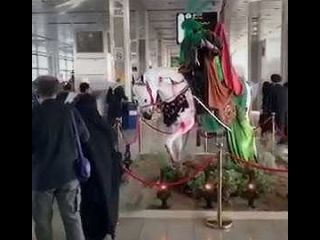 اینجا فرودگاه است یا حسینیه؟!