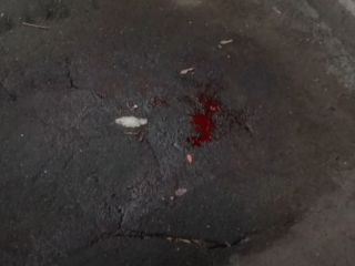 شواهد تازه درباره خبر خودکشی دختر سفیر ایران در روسیه - ویدیو