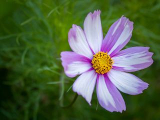 فال روز سه شنبه ۱۲ نوامبر - ۲۱ آبان.