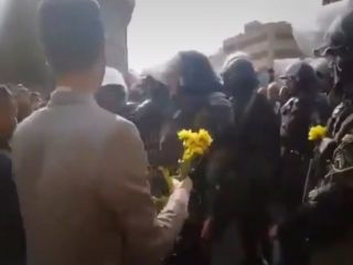 گلهای نرگسی که نیروهای ضدشورش را وادار به عقب نشینی کرد