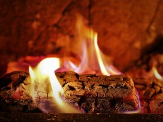 لطفاً این‌طور نمیرید!