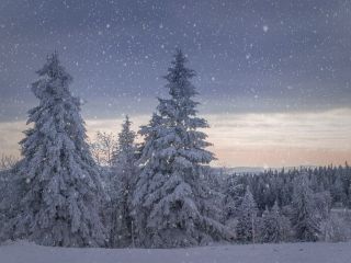 فال روز جمعه ۲۹ نوامبر - ۸ آذر.