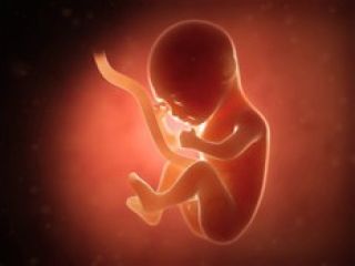 دستگیری مرد به اتهام ضرب و جرح همسرش برای سقط کردن جنین