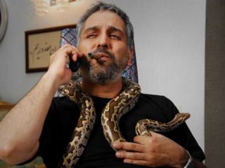 زیباکلام: تمام جسارت مدیری در توسری زدن به دولت است