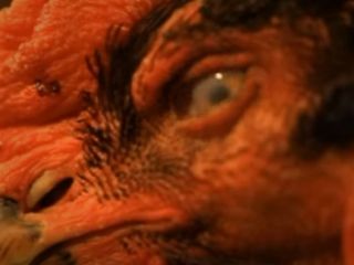 «قهرمان لیگ برتر را کشته گذاشته وسط سفره» - ویدیو