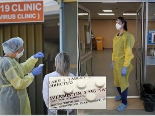 درمان قطعی آزمایشگاهی کرونا با داروی ضد شپش سر