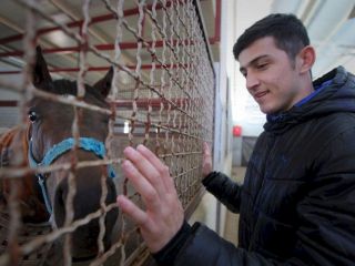 اصطبل ۱۰ میلیارد تومانی سردار آزمون