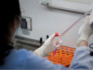 دانشمندان پادتنی تولید کردند که مانع از ورود کرونا به سلول‌ها می‌شود