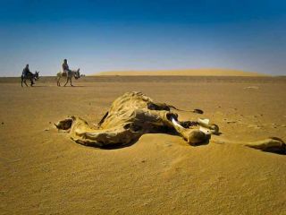 هشدار دانشمندان: یک میلیارد نفر در سال ۲۰۷۰ در گرمای شدید زندگی خواهند کرد