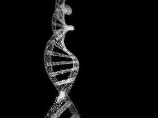 این ژن سطح کلسترول را تنظیم می‌کند