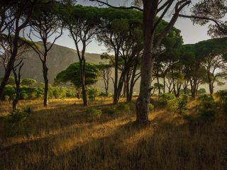 فال روز چهارشنبه ۸ جولای - ۱۸ تیر