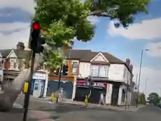 نجات معجزه آسای یک دختر از سقوط درخت تنومند در یکی از خیابان‌های لندن