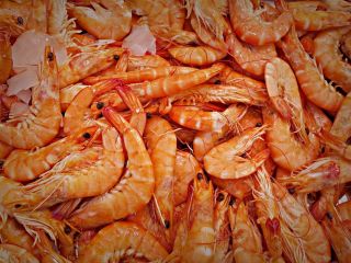 ساخت باتری از پوسته میگو؛ طرح ابتکاری دانشمندان برای ذخیره انرژی