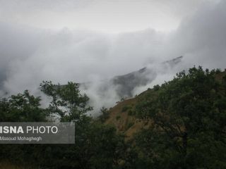 یک آخوند متولی یک امامزاده با استناد به سندی متعلق به دوره قاجار توانسته مالک ۵۶۰۰ هکتار از جنگل‌های هیرکانی شود