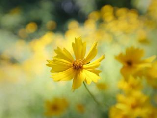 فال روز یکشنبه ۹ آگوست - ۱۹ مرداد